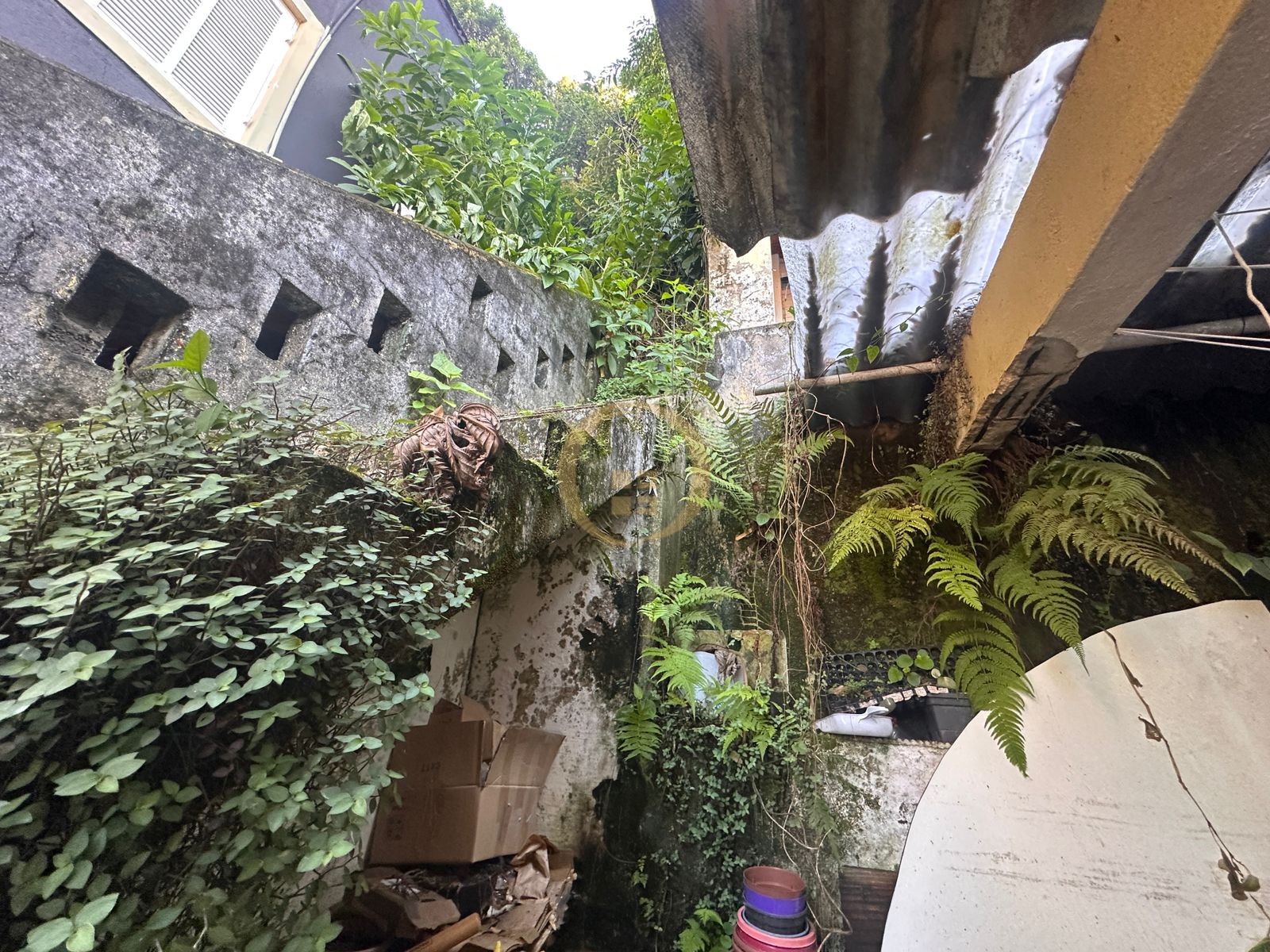 Casa, Praia da Pitangueiras - Guarujá